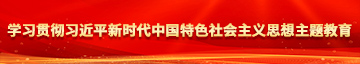 大金吧黄色视频学习贯彻习近平新时代中国特色社会主义思想主题教育